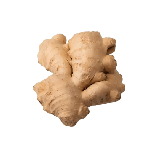 Racine de gingembre naturelle, ingrédient clé de l'infusion bio Vitalité Articulations PROPHYTAMINE pour soutenir les articulations.