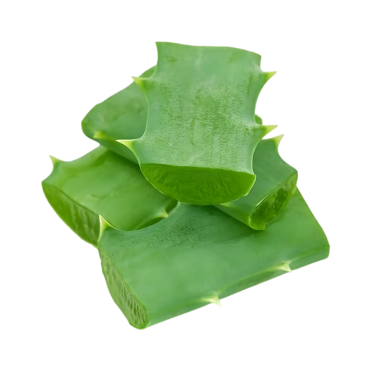 Morceaux frais d'aloe vera, ingrédient principal du jus Aloe Vera Mangue GRACE, reconnu pour ses propriétés hydratantes et apaisantes.