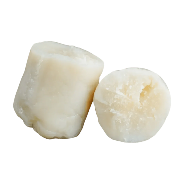 Kwanga NUMBER ONE : Pâte de manioc sous vide. Deux morceaux de kwanga sur fond vert.