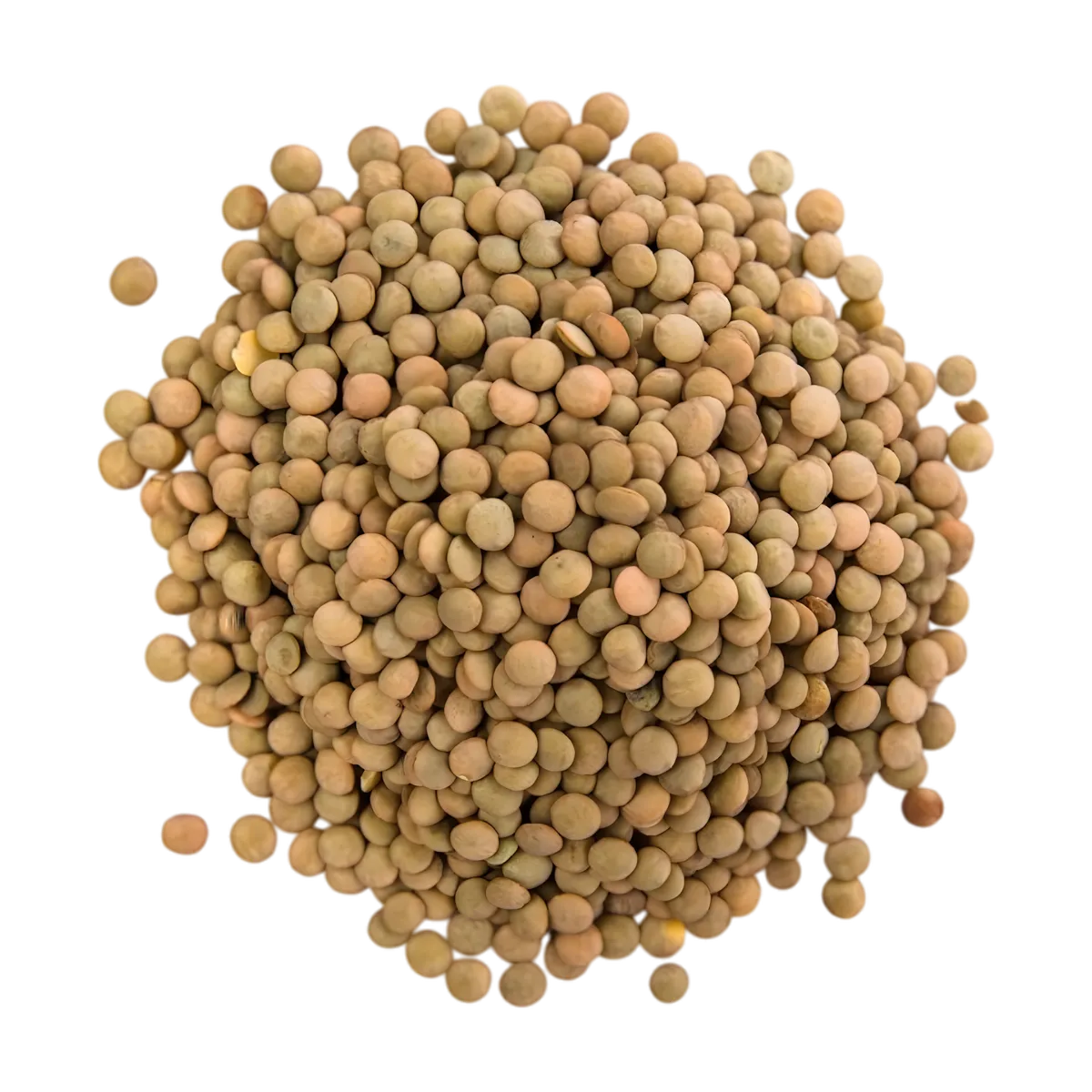 Lentilles CELIMENE en vrac, légumineuses sèches de qualité pour plats équilibrés, issues de la catégorie fruits et légumes secs.