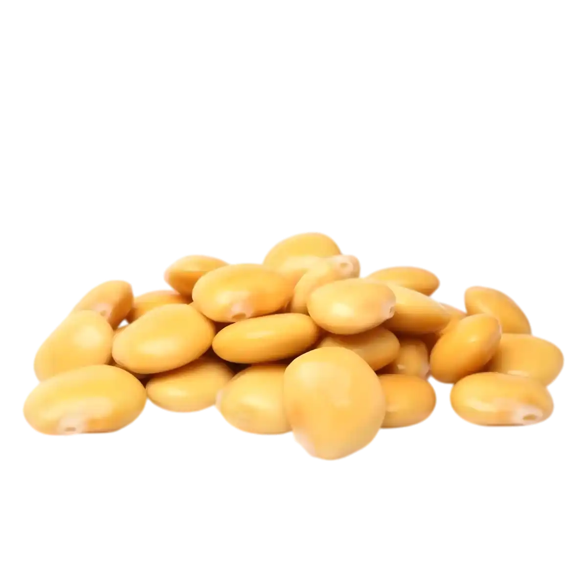 Lupins en bocal SAMIA - lupins jaunes brillants en vrac, texture ferme et goût salé, parfaits pour apéritifs ou recettes méditerranéennes.