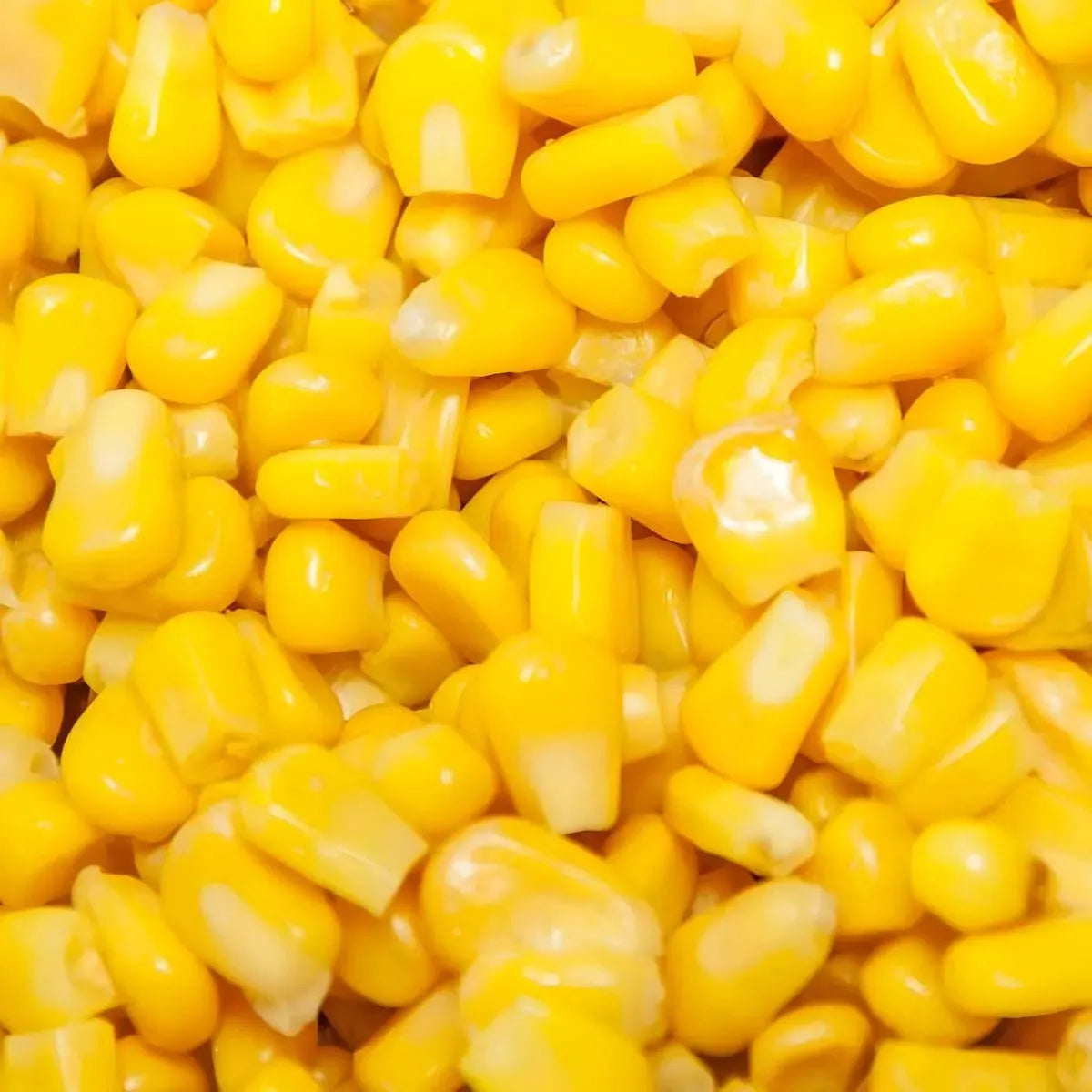 Gros plan sur grains de Maïs Doux LARROCHE brillants et tendres. Texture juteuse idéale pour salades, plats chauds ou garnitures.