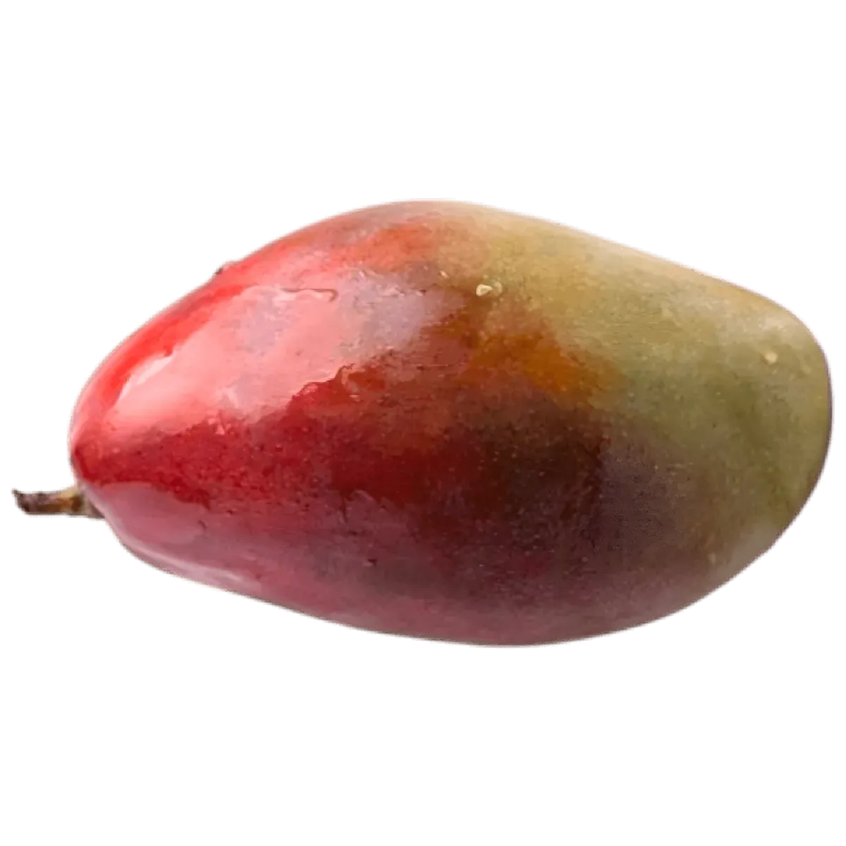 Mangue bateau Kent entière avec peau rouge et verte brillante, fruit juteux à pulpe dorée sucrée, idéale pour consommation fraîche.