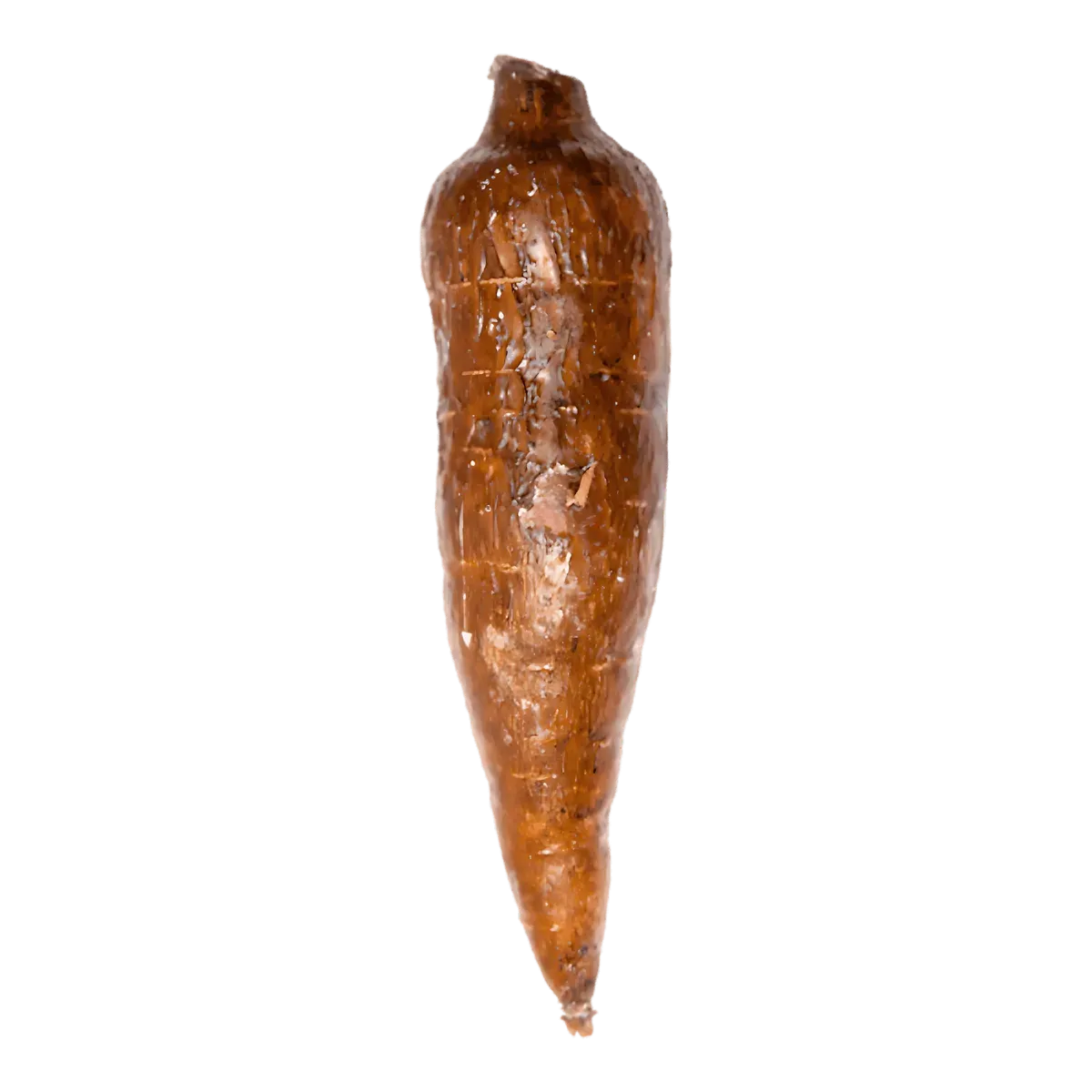 Manioc entier non pelé, racine fraîche utilisée en cuisine pour ses multiples usages culinaires. Idéal comme substitut de la pomme de terre.