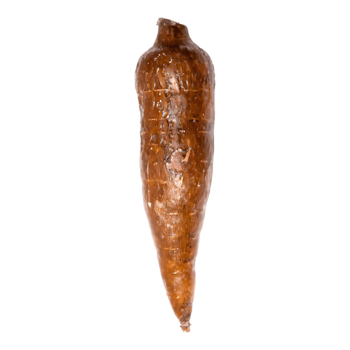 Manioc entier frais, racine comestible utilisée en cuisine pour ses multiples préparations. Idéal bouilli, frit ou en purée.