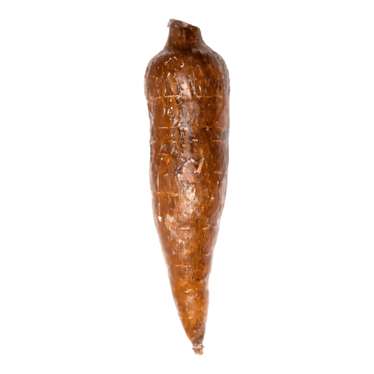Manioc entier frais, racine comestible utilisée en cuisine pour ses multiples préparations. Idéal bouilli, frit ou en purée.