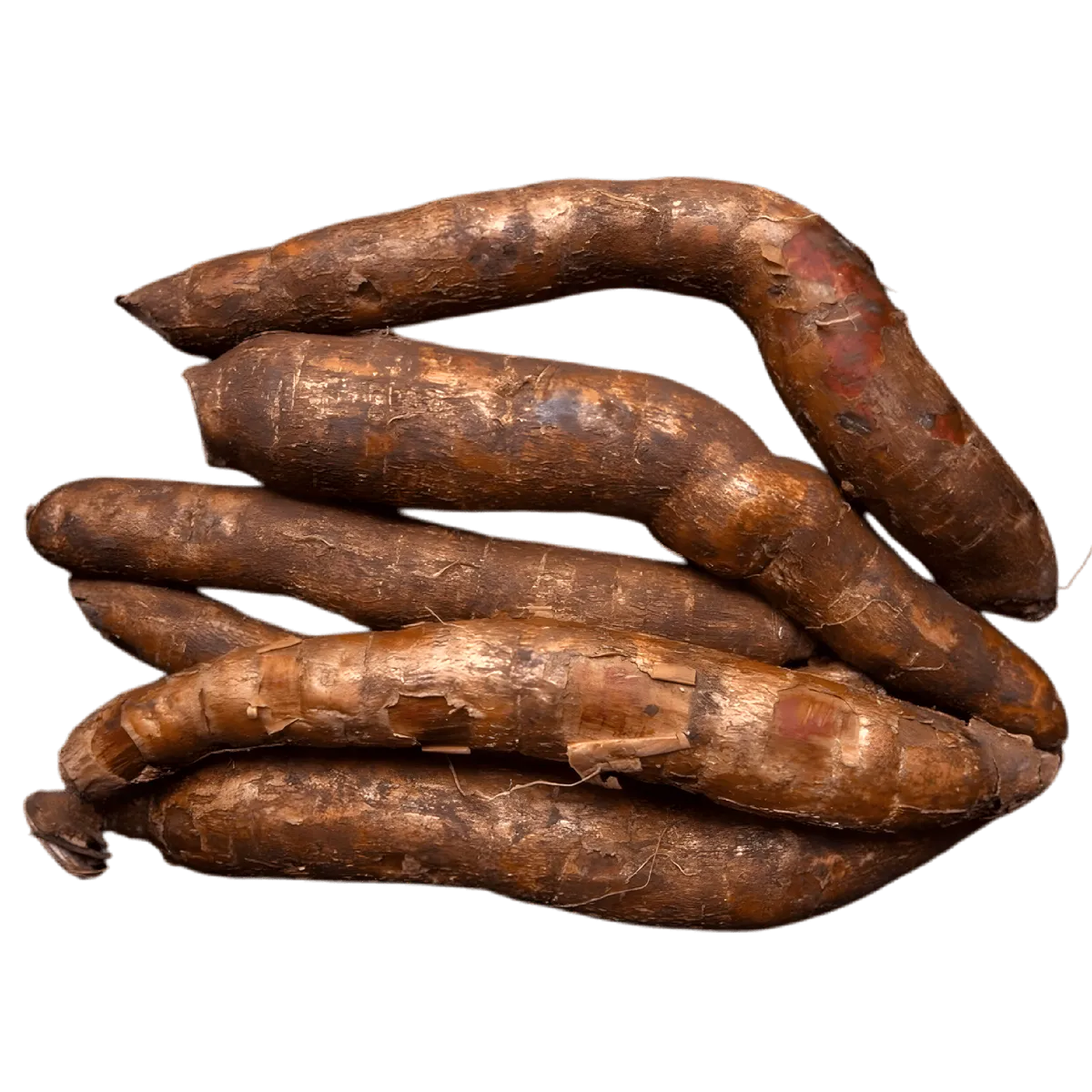Lot de racines de manioc frais, riche en glucides, parfait substitut de la pomme de terre pour des recettes traditionnelles ou exotiques.