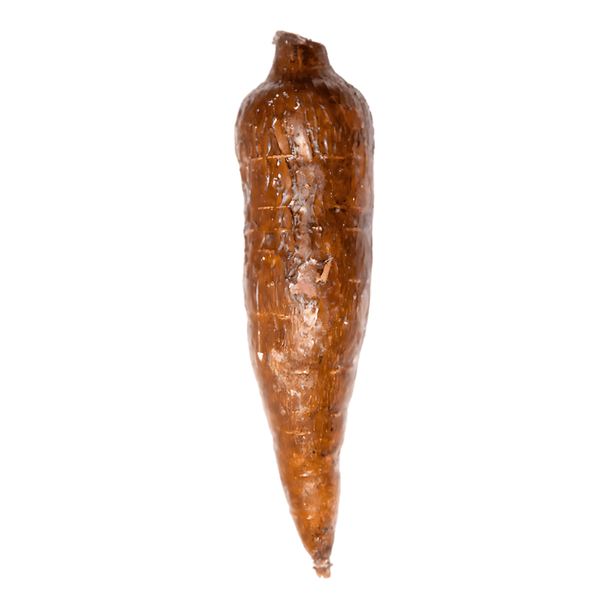 Manioc