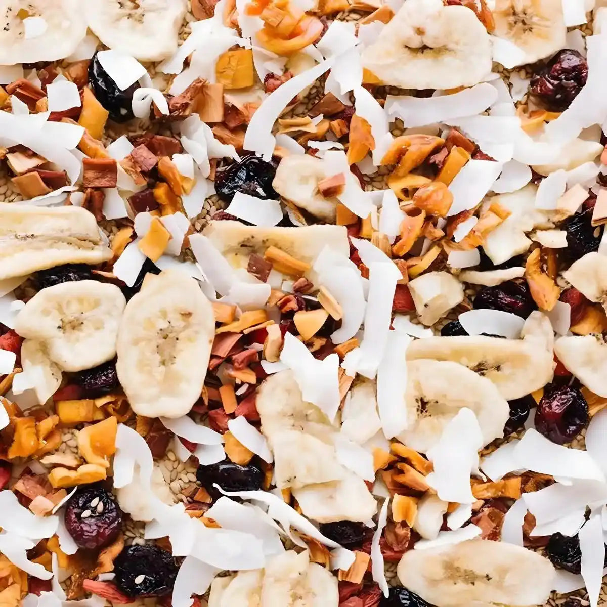 Vue rapprochée du mélange exotique PROFRUIT avec bananes séchées, noix de coco, baies et fruits tropicaux, parfait pour les amateurs de fruits secs.