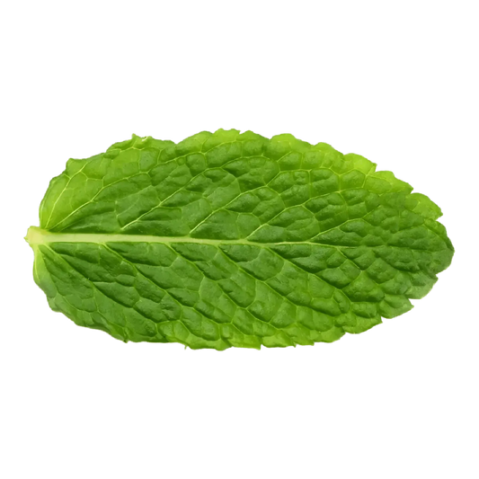 Feuille de menthe fraîche parfumée, idéale pour plats ou boissons. Goût vivifiant et propriétés digestives naturelles.