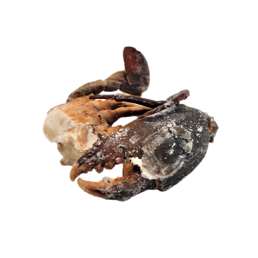Morceaux de crabe