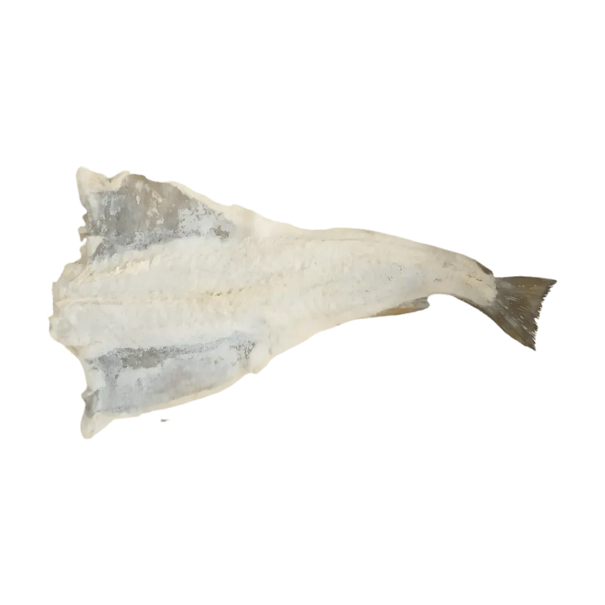 Morue salée séchée entière, poisson blanc à la texture ferme, idéale pour recettes traditionnelles. Produit de la mer riche en protéines.