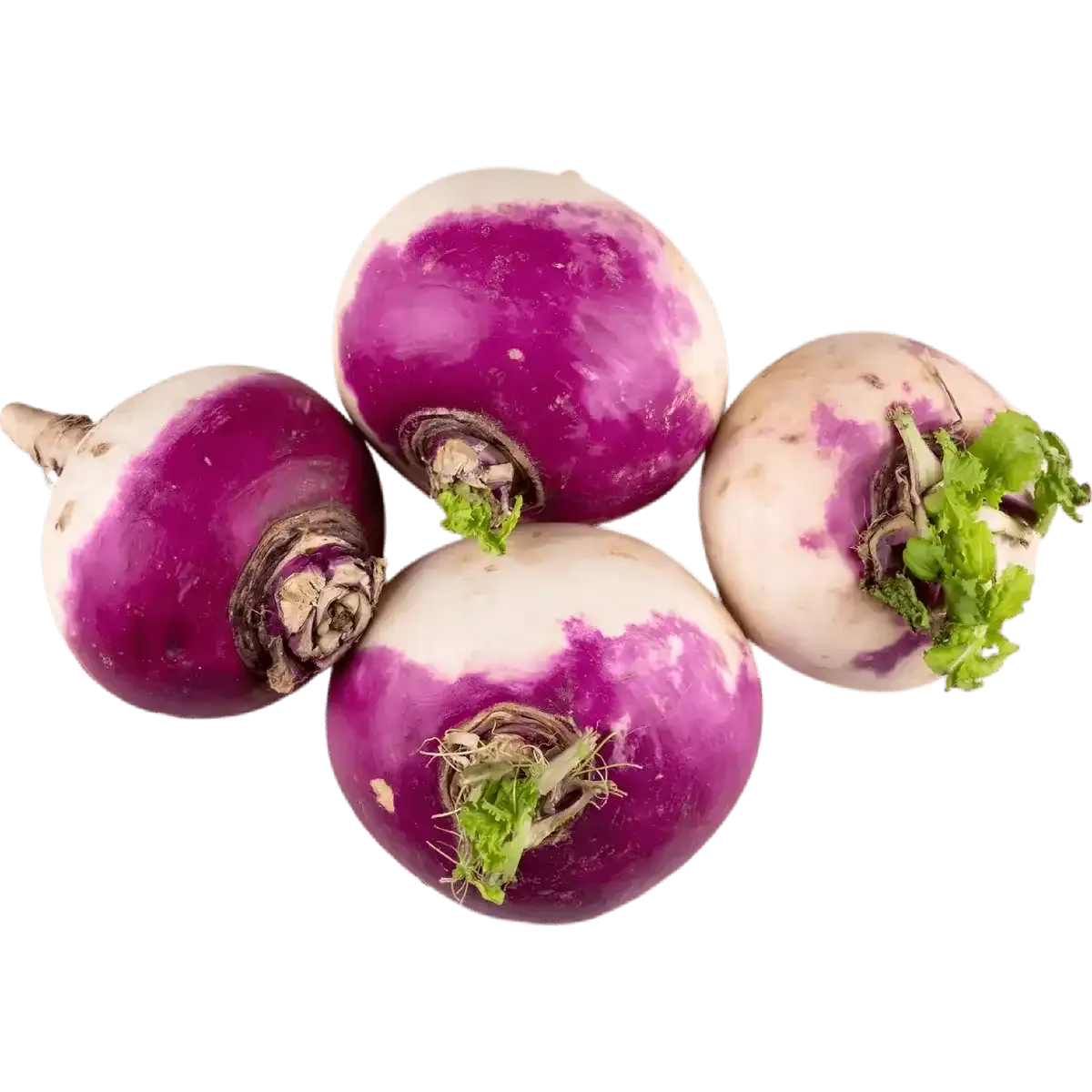Quatre navets frais bicolores avec fanes, parfaits pour des recettes saines, riches en fibres et vitamine C, dans la catégorie fruits et légumes.