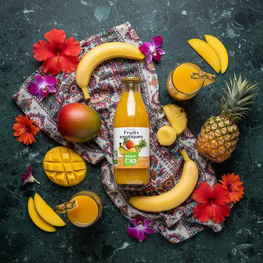Nectar Fruits Exotiques Bio RACINES entouré de fruits tropicaux frais comme mangue, ananas et banane, sur fond décoratif coloré.