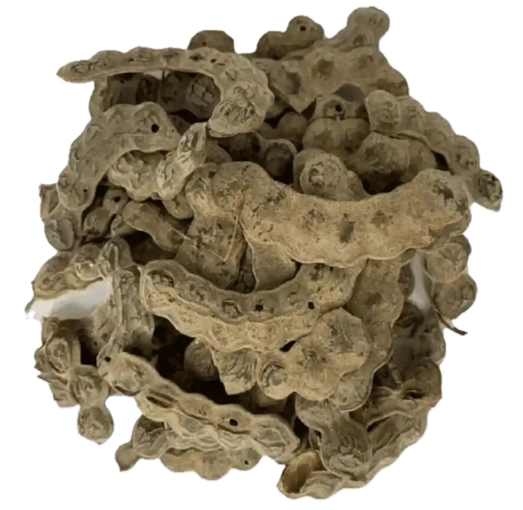 Gousses séchées de Nep Nep (Acacia Nilotica), ingrédient brut utilisé pour produire l'épice africaine 100% naturelle en poudre.