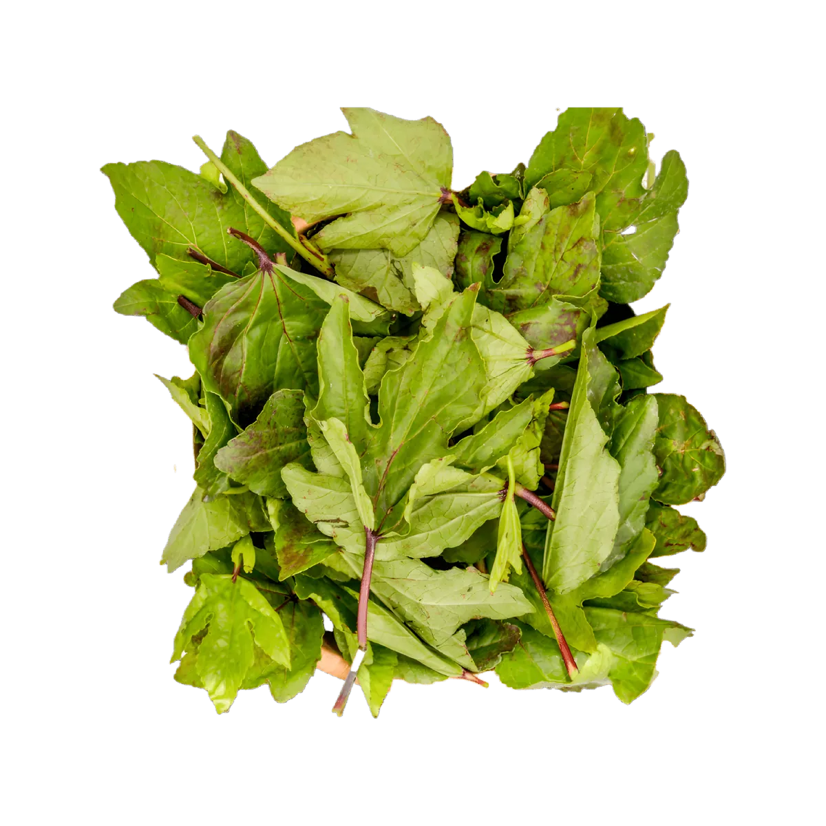 Feuilles de Bissap Bio - N'gai N'gai fraîches vues de dessus, riches en saveur acide, idéales pour cuisine africaine et infusions naturelles.
