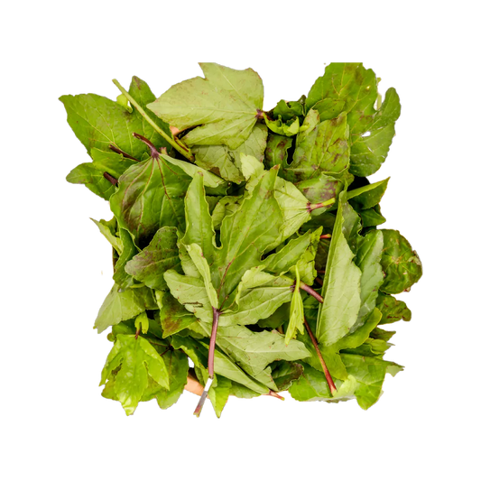 Feuilles de Bissap Bio - N'gai N'gai fraîches vues de dessus, riches en saveur acide, idéales pour cuisine africaine et infusions naturelles.