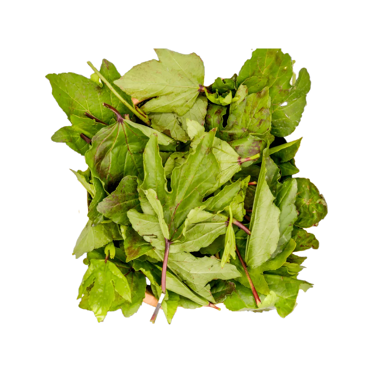 Feuilles de bissap fraîches N'gai N'gai / Gnatou surgelées, idéales pour plats traditionnels africains, conservant goût et valeur nutritionnelle.