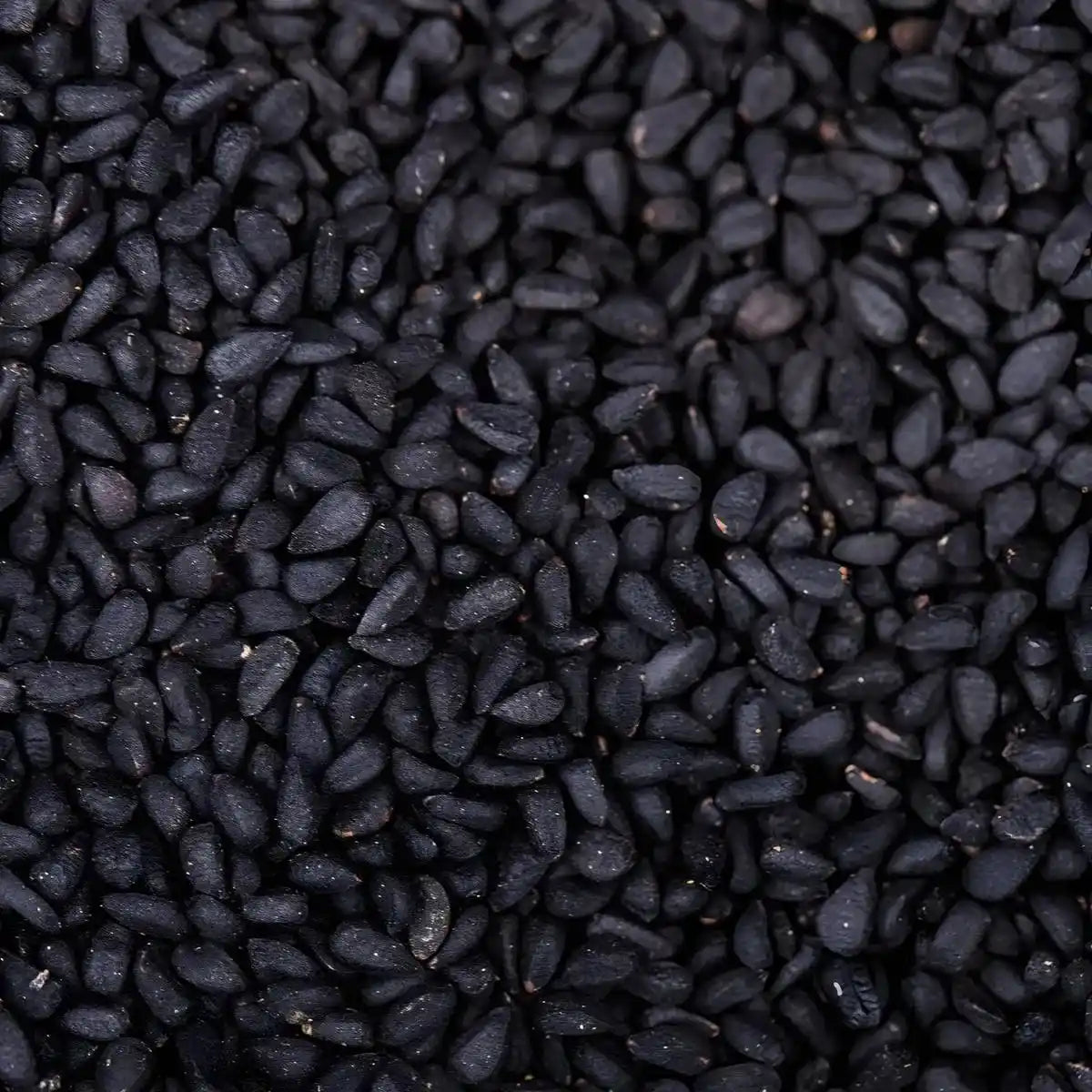 Gros plan sur graines de nigelle noires SAMIA, texture croquante et goût poivré, idéales pour assaisonnement et bienfaits nutritionnels.