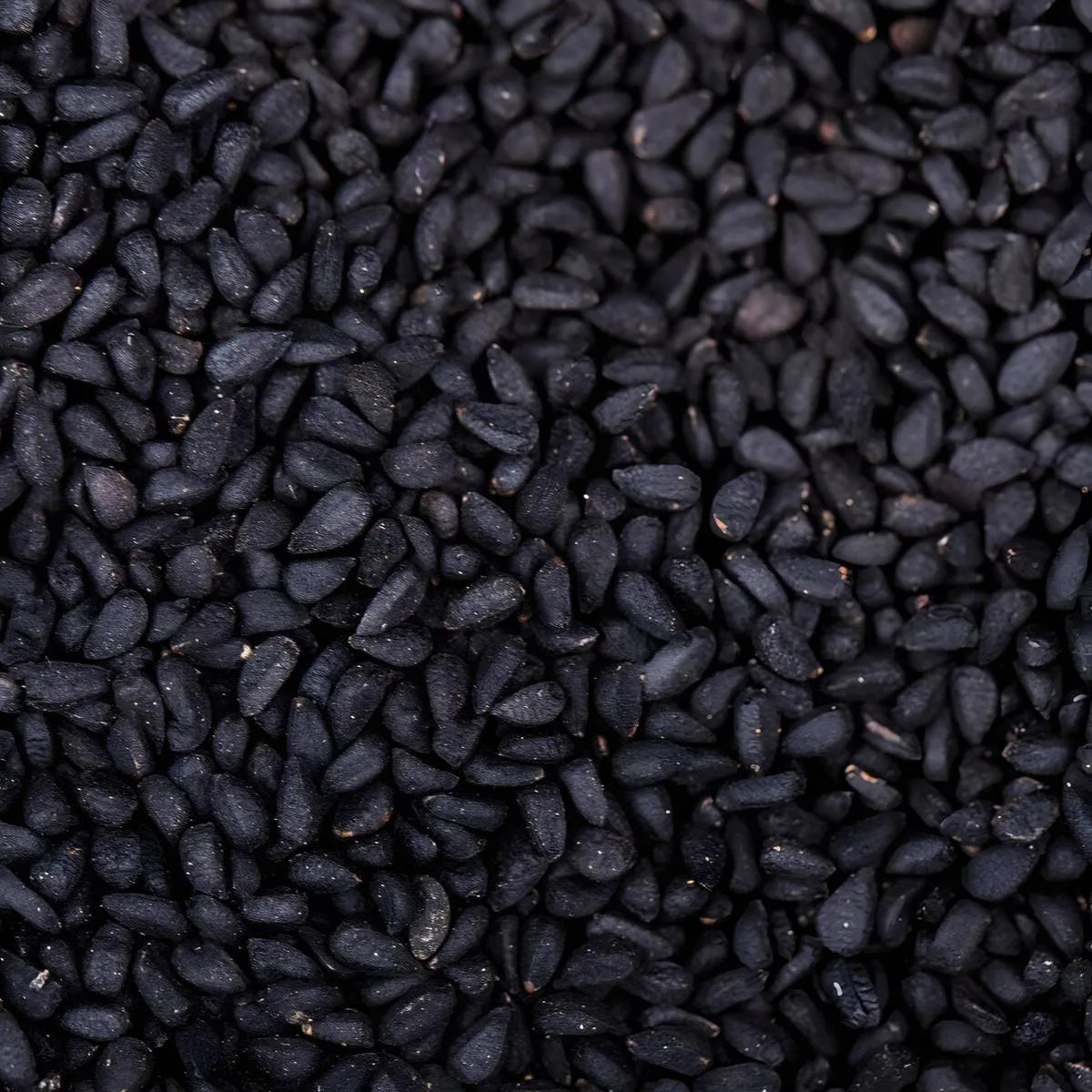 Gros plan sur graines de nigelle SAMIA, texture noire intense, parfaites pour assaisonner les plats et profiter de leurs bienfaits.