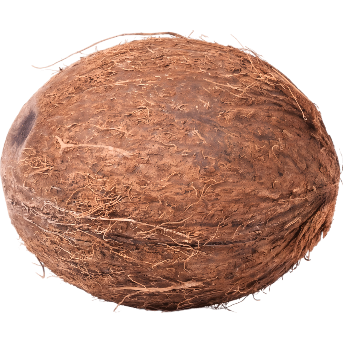Noix de coco