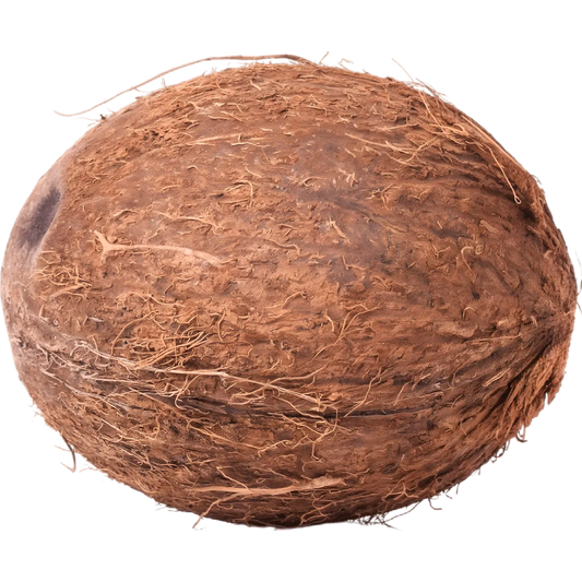 Noix de coco fraîche entière avec coque fibreuse, idéale pour savourer une chair juteuse. Fruit tropical authentique pour une expérience exotique.