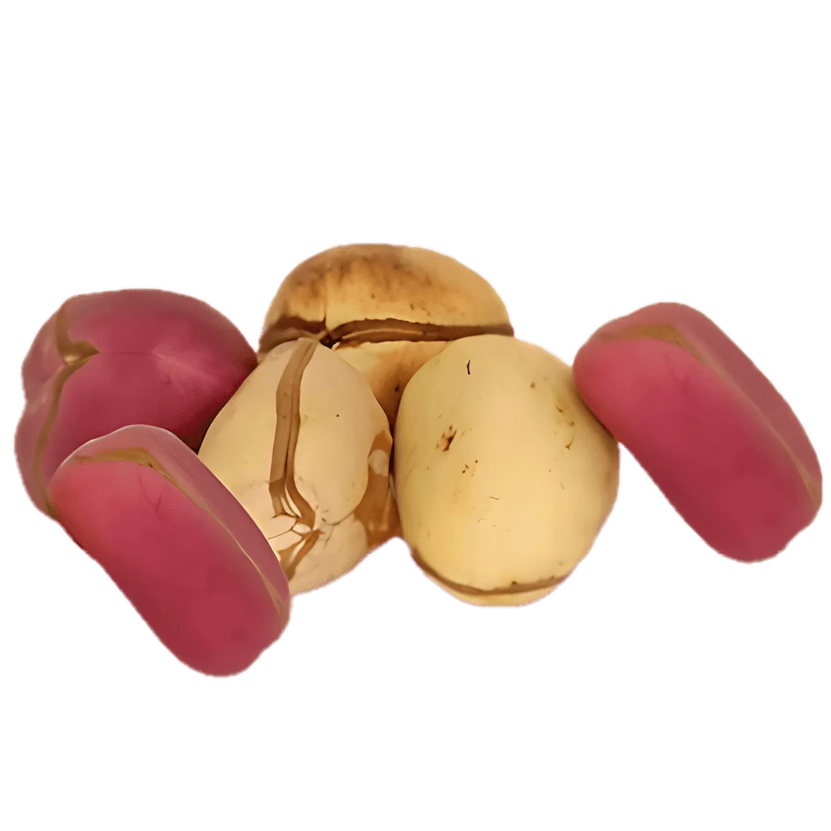 Noix de Cola fraîches aux teintes rouge et beige, issues de la catégorie FRUITS / LÉGUME / PLANTE FRAIS - NKOSI, idéales pour boissons naturelles.