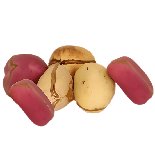 Noix de Cola fraîches aux teintes rouge et beige, issues de la catégorie FRUITS / LÉGUME / PLANTE FRAIS - NKOSI, idéales pour boissons naturelles.
