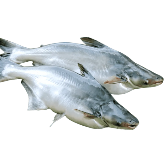 Deux pangas entiers surgelés, poisson délicat et polyvalent, parfait pour plats de fruits de mer - POISSON - NKOSI, produit alimentaire.