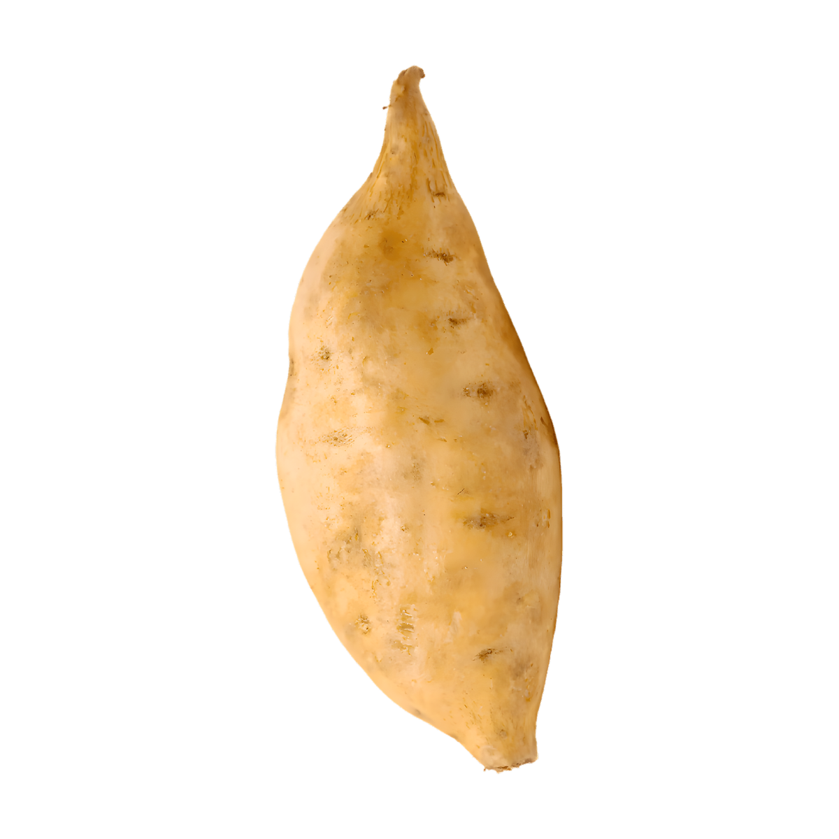 Patate douce à chair blanche