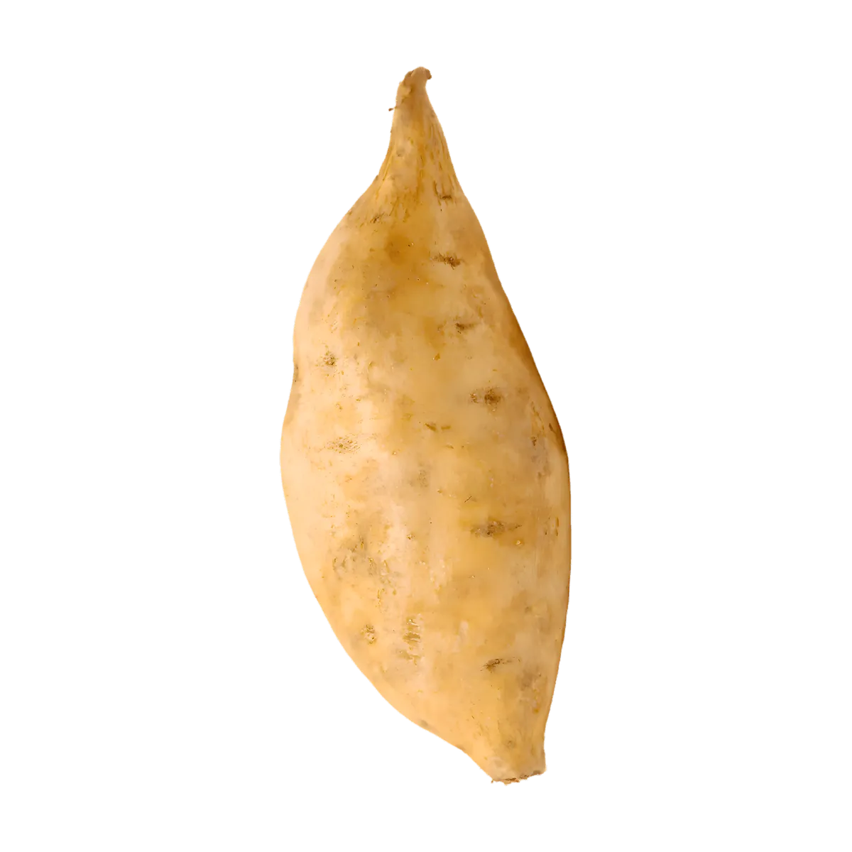 Patate douce à chair blanche entière, tubercule frais à peau beige, idéale pour recettes sucrées ou salées. Délicieuse et polyvalente en cuisine.