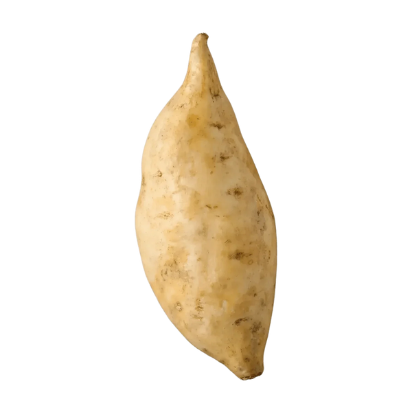 Patate douce à peau blanche et chair blanche - 1kg.