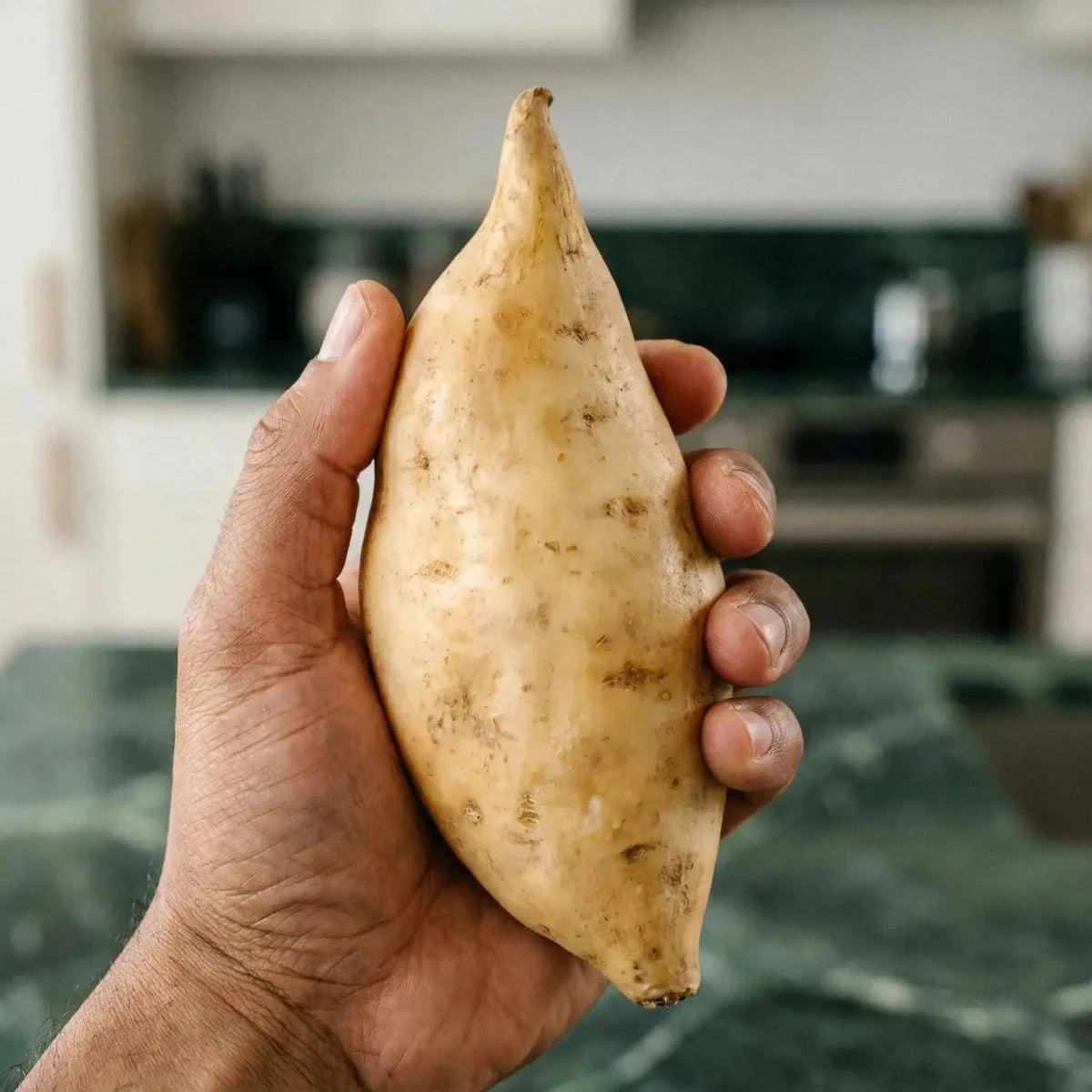 Patata dolce con buccia bianca e polpa bianca - — 1kg.