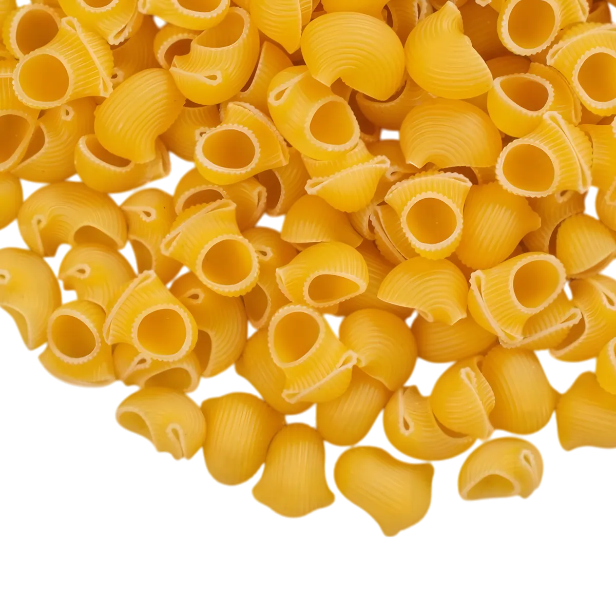 Zoom sur les pâtes gomiti n°49 Samia, texture unique en forme de coquilles courbées, parfaites pour capturer les saveurs des sauces.