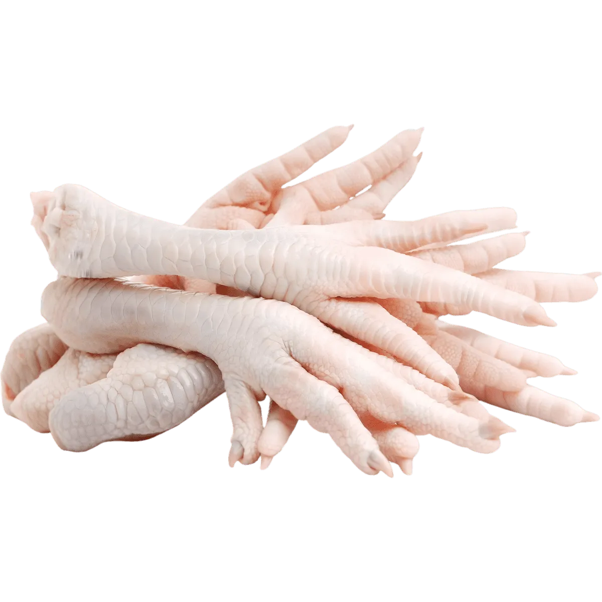 Pattes de poulet halal surgelées NKOSI, volaille fraîche de qualité pour préparations culinaires variées. Produit authentique et savoureux.