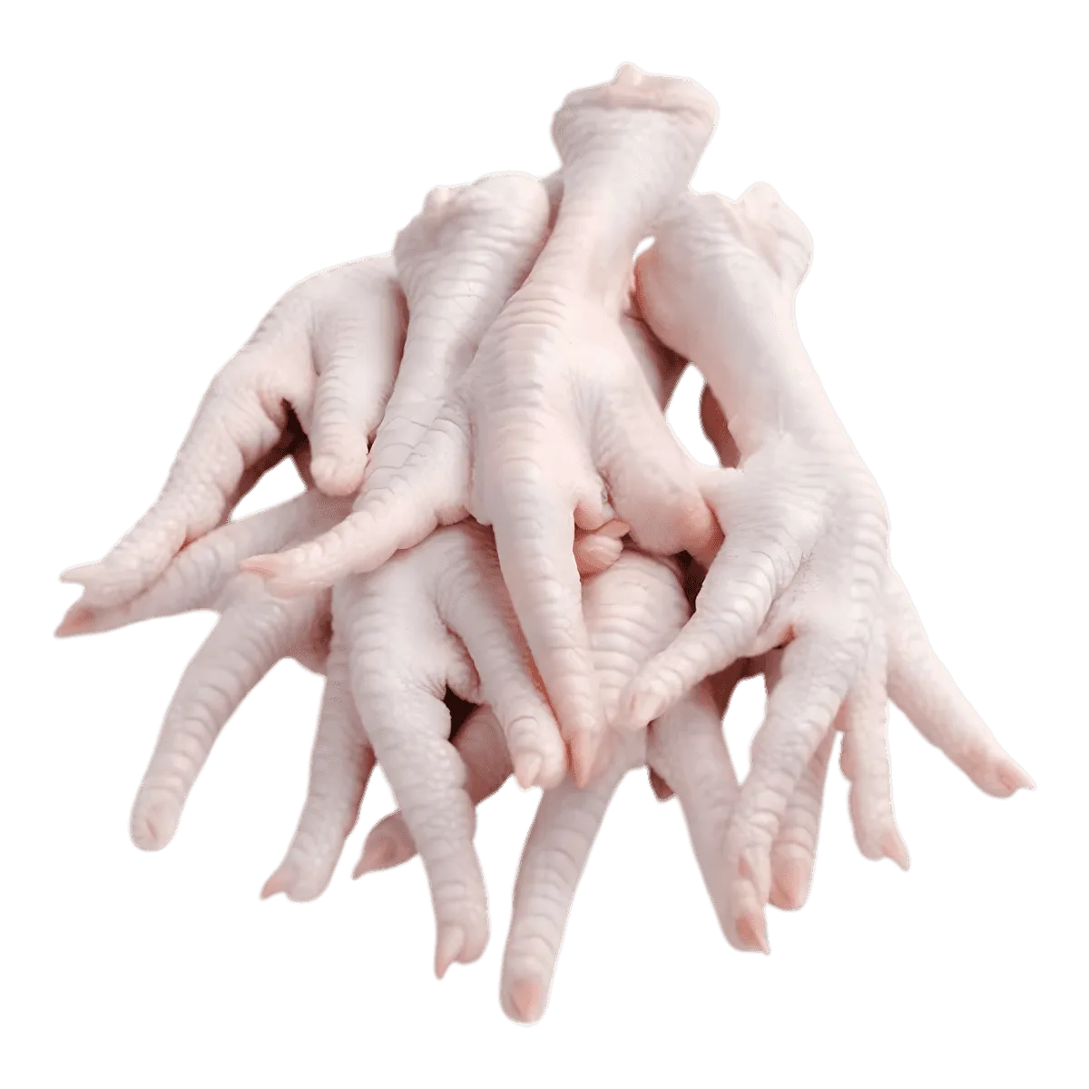 Patte de poulet - VOLAILLE - NKOSI, produit surgelé halal prêt à cuisiner, idéal pour soupes, ragoûts ou grillades. Texture tendre et goût riche.