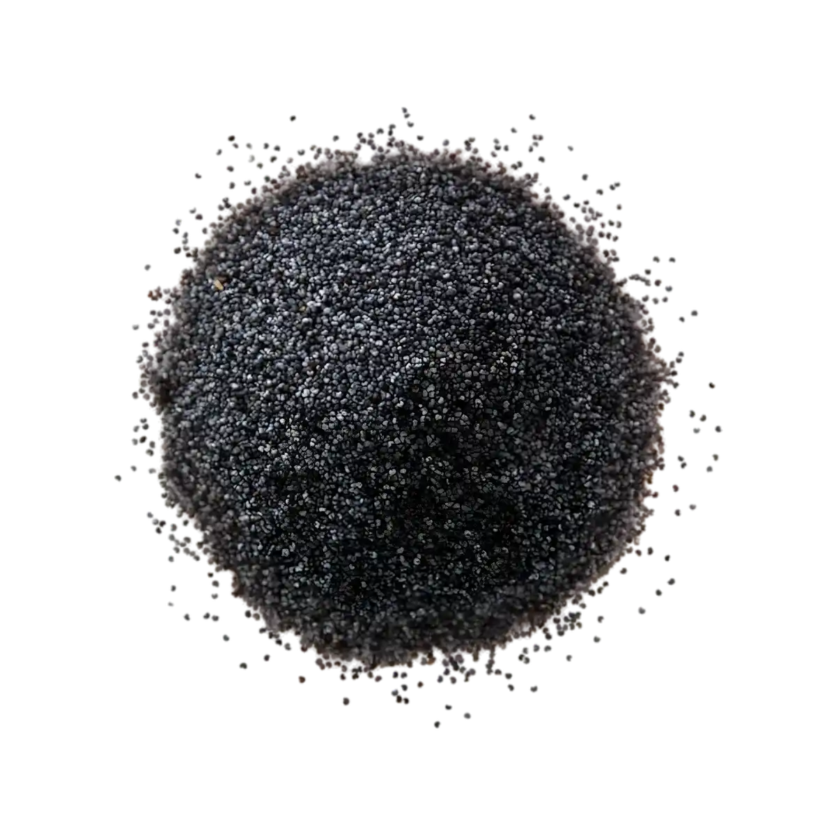 Zoom sur une boule de graines de pavot bleu entier SAMIA, texture fine et riche en goût pour multiples usages culinaires.