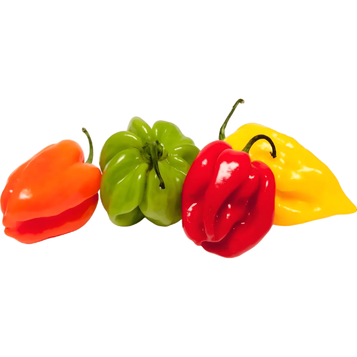 Piment antillais rouge, vert, jaune et orange, frais et coloré, idéal pour sauces piquantes. Saveur intense à petit prix pour cuisine créole.