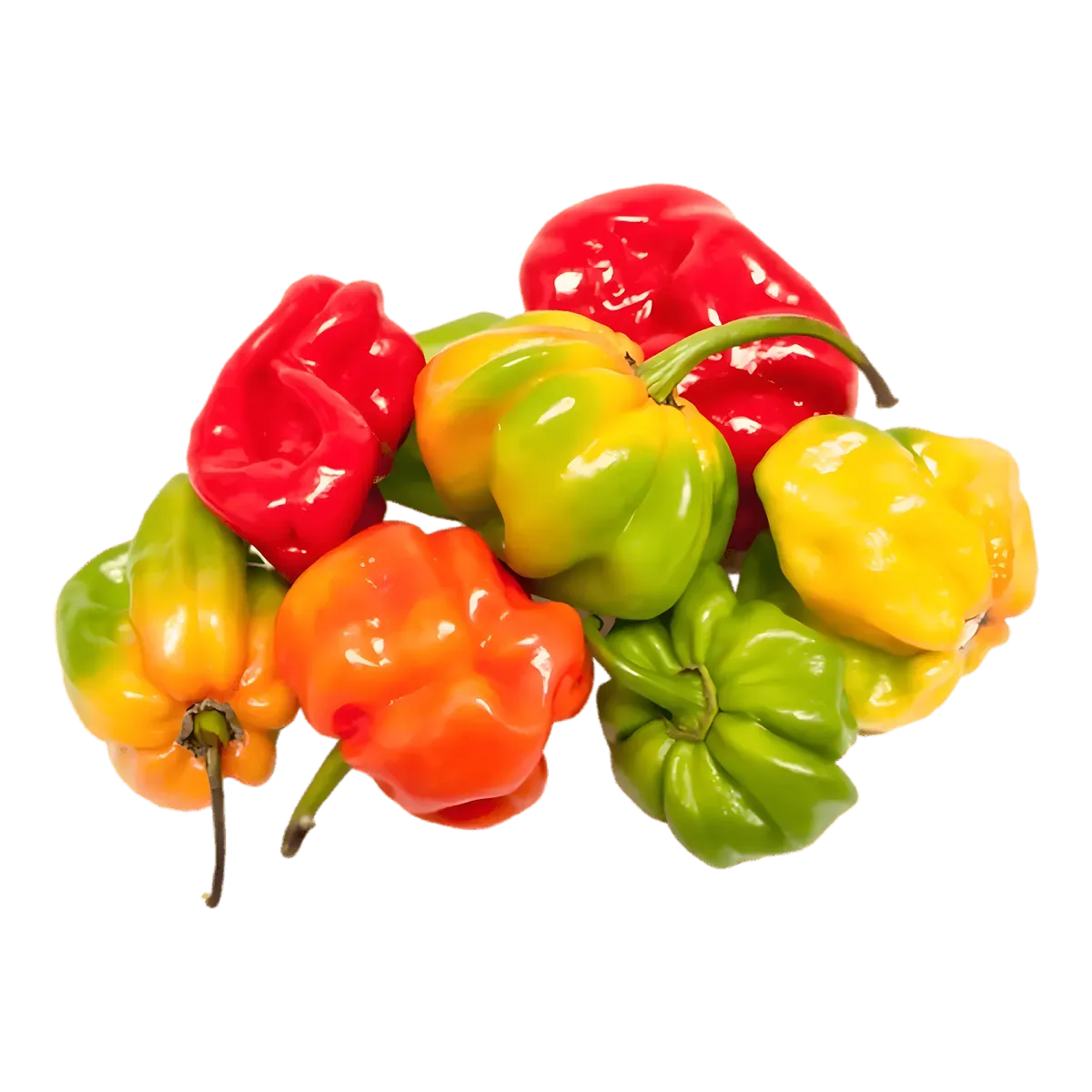 Mélange de piments antillais rouges, verts, jaunes et orange. Produit frais pas cher, idéal pour cuisine créole et sauces épicées.