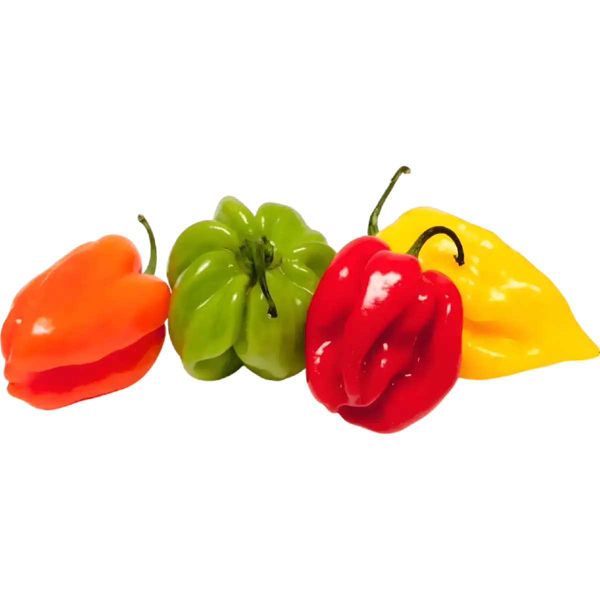 Piment antillais surgelé multicolore aux teintes rouge, vert, jaune et orange. Idéal pour cuisine épicée et recettes exotiques pleines de saveurs.