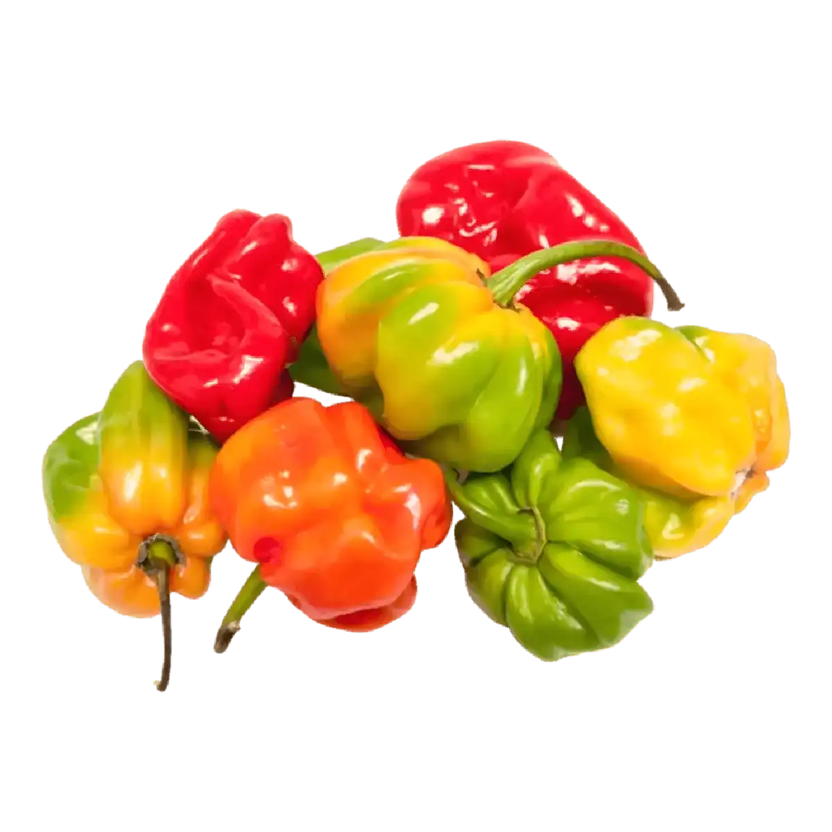 Mélange de piments antillais surgelés aux couleurs vives. Parfait pour relever vos plats avec une touche caribéenne authentique et piquante.