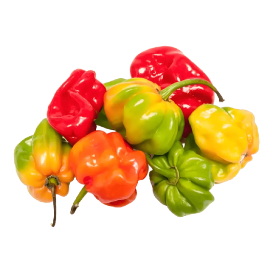 Mélange de piments antillais surgelés aux couleurs vives. Parfait pour relever vos plats avec une touche caribéenne authentique et piquante.