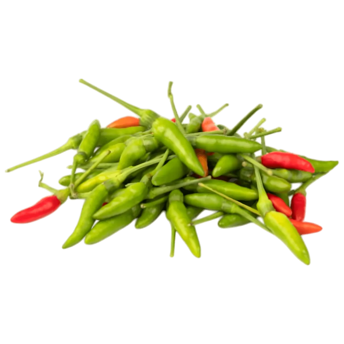 Piment oiseau frais, mélange de piments verts et rouges, variété tropicale piquante idéale pour relever les plats exotiques et épicés.