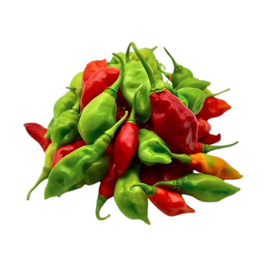 Mélange de piments végétariens frais rouges et verts, texture ferme et goût doux. Ingrédient savoureux pour recettes sans piquant fort.