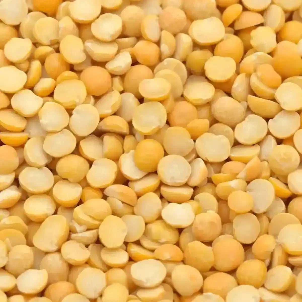 Zoom sur les pois cassés jaunes LEGUMOR, texture farineuse et couleur éclatante, parfaits pour soupes et purées maison.