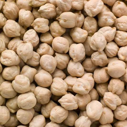 Gros plan sur pois chiches 9mm LEGUMOR, texture ferme et calibre homogène, parfaits pour recettes salées et plats végétariens.