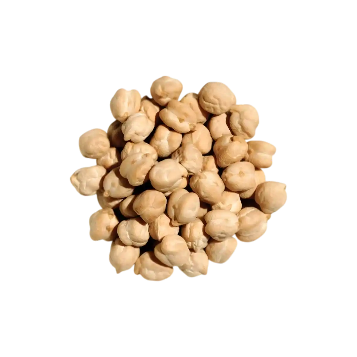 Pois chiches secs en gros plan, parfaits pour comparer avec les pois chiches en conserve SAMIA, texture tendre et pratique.