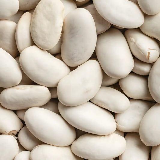 Gros plan sur les Pois du Cap LEGUMOR, haricots secs blancs utilisés en cuisine, catégorie Épicerie Salée - NKOSI.