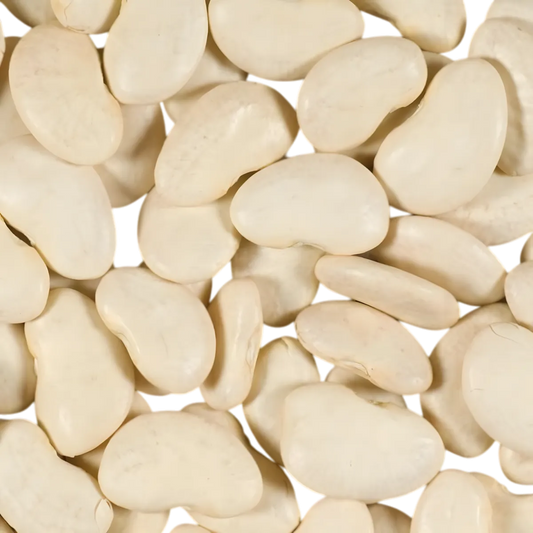 Gros plan sur les Pois du Cap TERSOL secs, haricots blancs utilisés dans la cuisine caraïbe pour leur texture fondante et goût délicat.