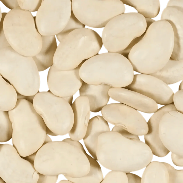 Pois du Cap blancs vendus en lot par TERSOL, disposés en vrac avec une texture lisse.
